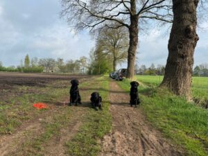 Afbeelding van WhatsApp op 2025-04-13 om 17.39.25_a8d22dbf