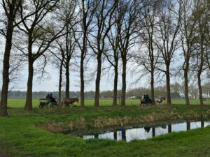 Afbeelding van WhatsApp op 2025-04-13 om 17.39.26_075dad1e