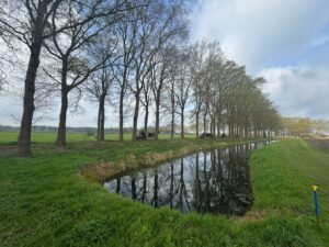 Afbeelding van WhatsApp op 2025-04-13 om 17.39.27_48666274