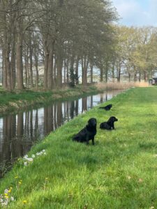 Afbeelding van WhatsApp op 2025-04-13 om 17.39.27_6181f012