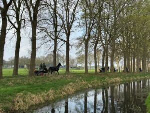 Afbeelding van WhatsApp op 2025-04-13 om 17.39.27_869a84ff