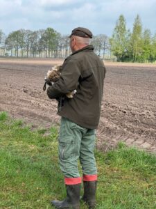 Afbeelding van WhatsApp op 2025-04-13 om 17.39.28_f738b2da