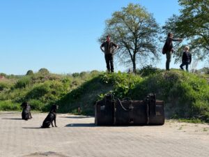 Afbeelding van WhatsApp op 2025-04-27 om 10.41.17_67b71b01