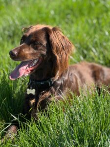 Afbeelding van WhatsApp op 2025-04-27 om 10.41.17_748860f1