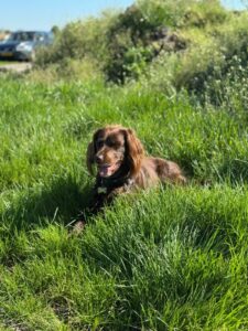 Afbeelding van WhatsApp op 2025-04-27 om 10.41.17_ddc66a69