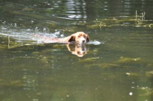 afsluitdag 13-07-2025