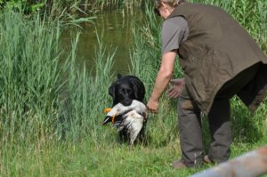 afsluitdag 13-07-2025