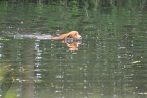 afsluitdag 13-07-2025