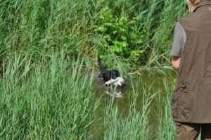 afsluitdag 13-07-2025