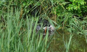 afsluitdag 13-07-2025