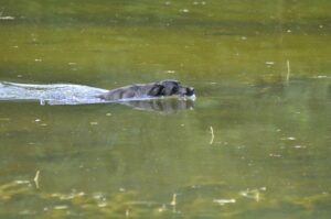afsluitdag 13-07-2025