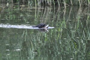 afsluitdag 13-07-2025