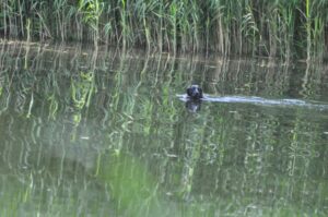 afsluitdag 13-07-2025