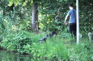 afsluitdag 13-07-2025