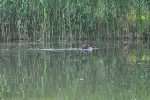 afsluitdag 13-07-2025