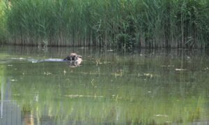 afsluitdag 13-07-2025