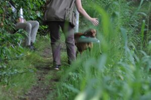 afsluitdag 13-07-2025