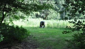 afsluitdag 13-07-2025