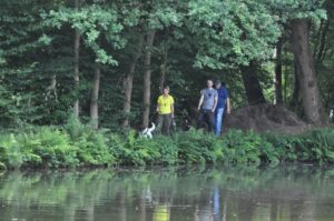 Afbeelding van WhatsApp op 2025-07-14 om 14.09.07_117f42b9