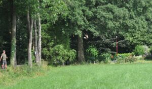 Afbeelding van WhatsApp op 2025-07-14 om 14.09.08_006e9125