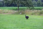 IMG_5610 Groot.jpeg