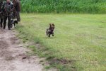 IMG_5664 Groot.jpeg