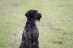 IMG_5676 Groot.jpeg