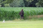 IMG_5692 Groot.jpeg