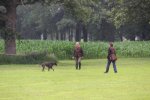 IMG_5753 Groot.jpeg