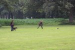 IMG_5755 Groot.jpeg