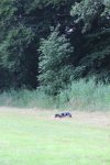 IMG_5761 Groot.jpeg