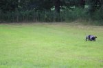 IMG_5764 Groot.jpeg