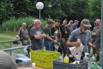 Afbeelding van WhatsApp op 2025-07-14 om 10.05.04_9d3a97f2.jpg