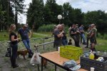 Afbeelding van WhatsApp op 2025-07-14 om 10.06.29_d967f937.jpg