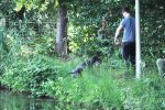 Afbeelding van WhatsApp op 2025-07-14 om 10.08.00_31c3a7d7.jpg