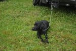 DSC_0006.jpg