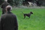 DSC_0036.jpg