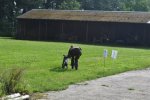 DSC_0059.jpg