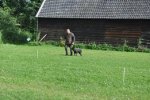 DSC_0064.jpg