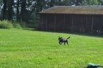 DSC_0066.jpg