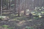DSC_0089.jpg