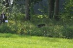 DSC_0104.jpg