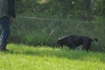 DSC_0108.jpg