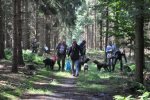 DSC_0171.jpg
