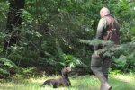 DSC_0176.jpg