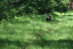 DSC_0178.jpg