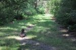 DSC_0187.jpg