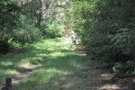 DSC_0189.jpg