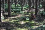 DSC_0214.jpg
