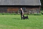 DSC_0232.jpg
